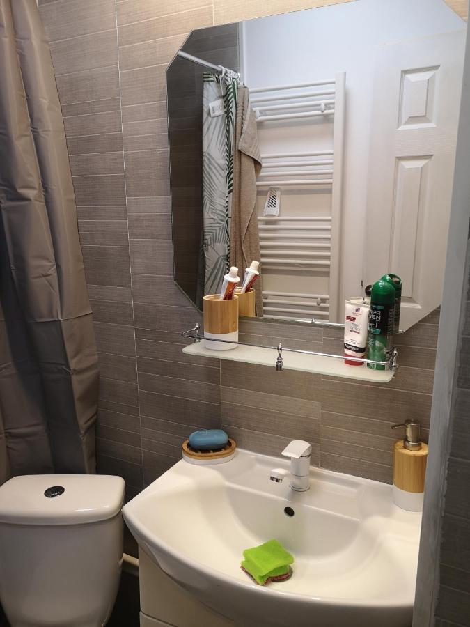 Little Modern Folk Apt Apartman Vălenii de Munte Kültér fotó